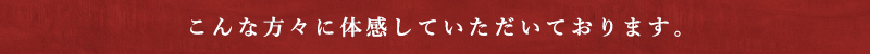 こんな方々に体感していただいております。